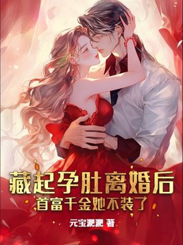 藏起孕肚离开一无所有的他小说